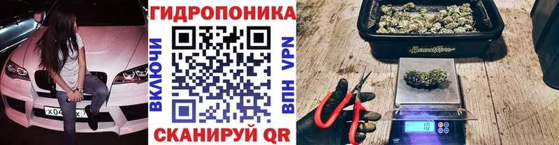 Бошки марихуана Ganja  Олонец 